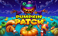PUMPKIN PATCH