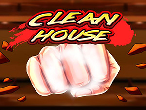 CLEAN HOUSE
