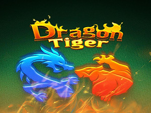 DRAGON TIGER DRAGON TIGER