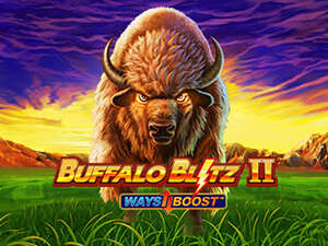 BUFFALO BLITZ II