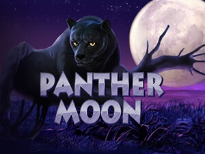 PANTHER MOON
